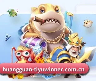 赛事数据与深度分析
