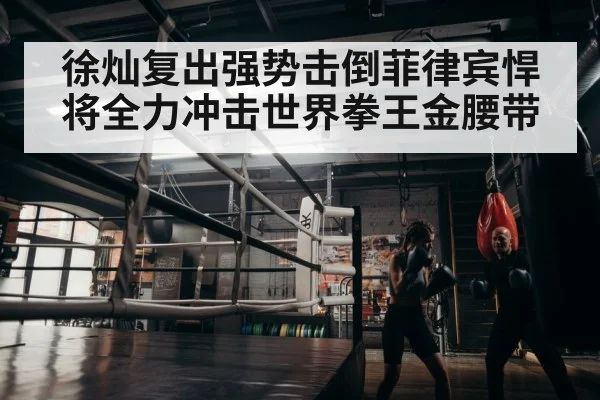 boxer training